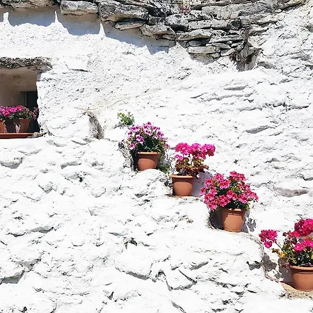 Parco Della Vigna 펜션 크리스피아노