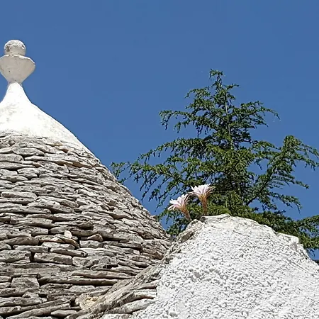 Parco Della Vigna Σπίτι διακοπών